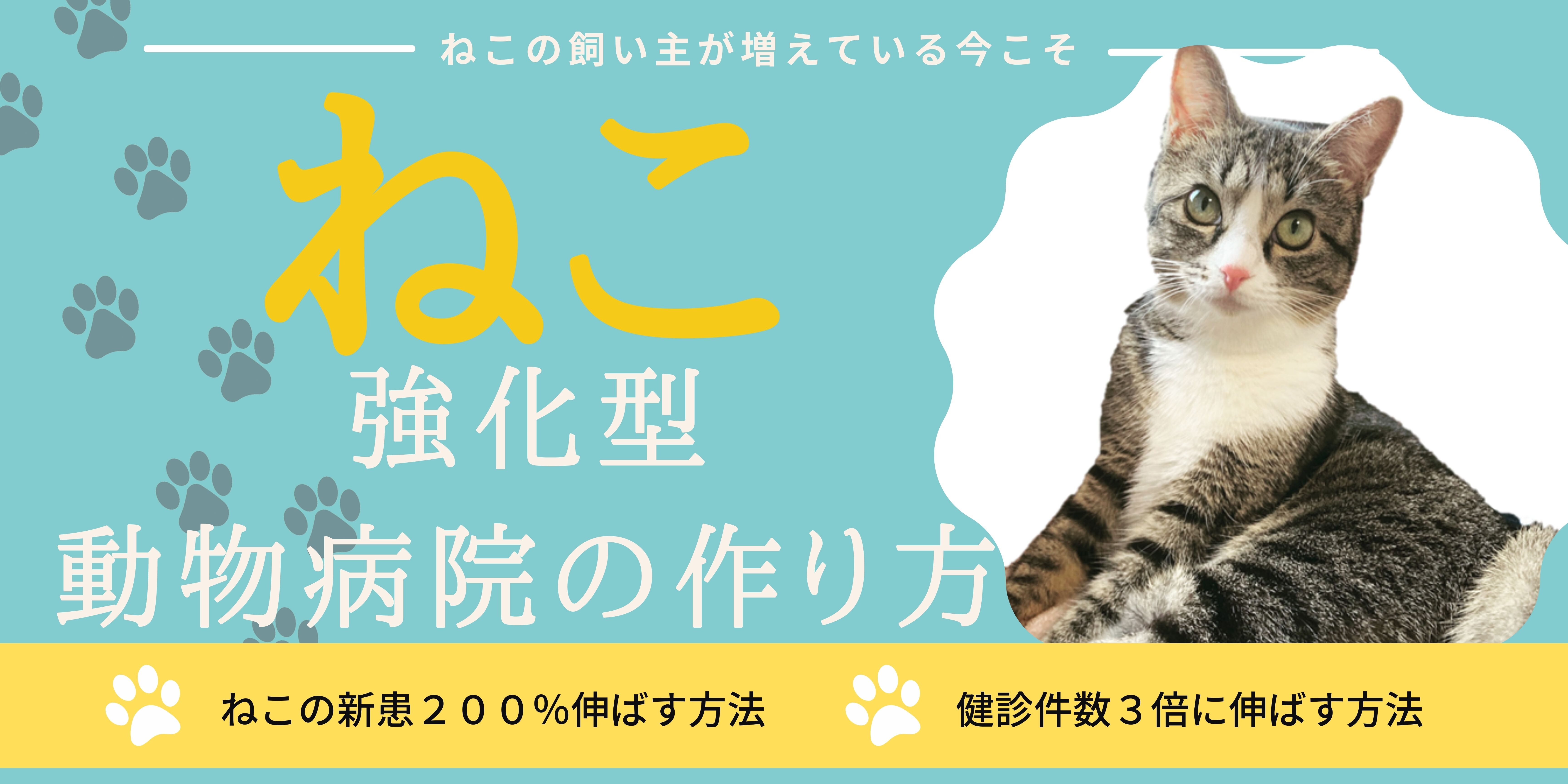 ねこ特化動物病院の作り方 船井総合研究所