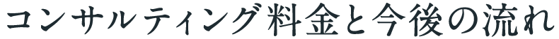 コンサルティング料金と今後の流れ