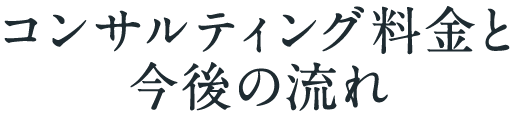 コンサルティング料金と今後の流れ