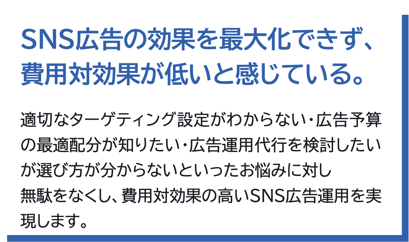 SNS広告の効果を最大化できず、費用対効果が低いと感じている。