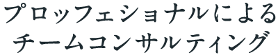 プロッフェショナルによるチームコンサルティング