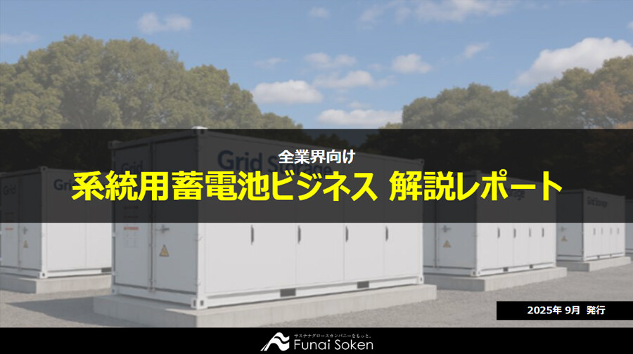 系統用蓄電池ビジネス 解説レポート