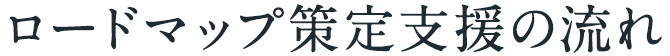 ロードマップ策定支援の流れ