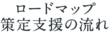 ロードマップ策定支援の流れ