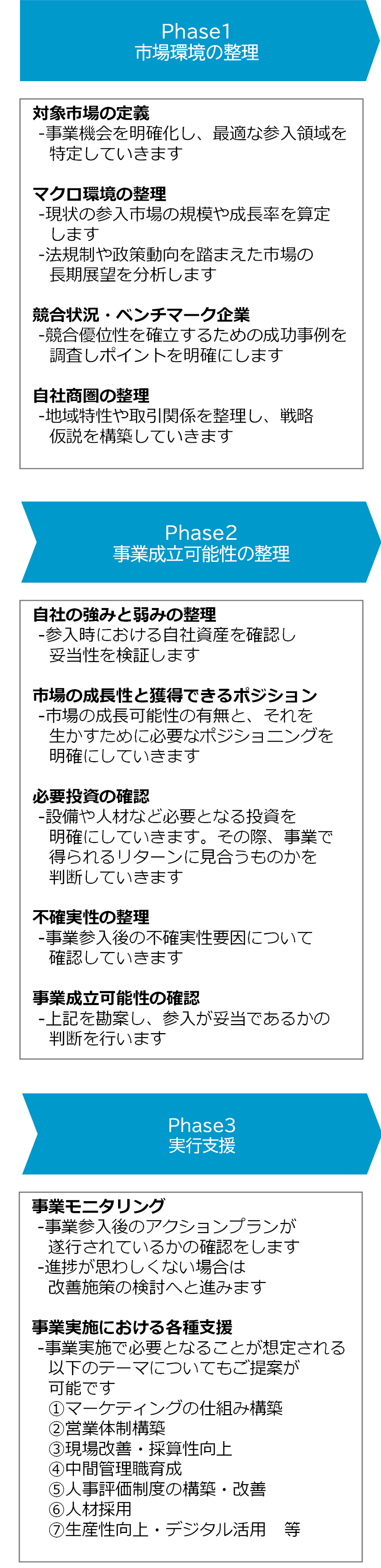 ①市場環境の整理 ②事業成立可能性の整理 ③実行支援