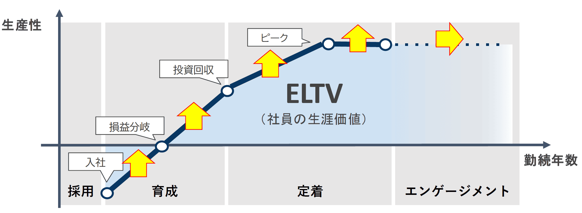 ELTV 社員の生産性と勤続年数のグラフ