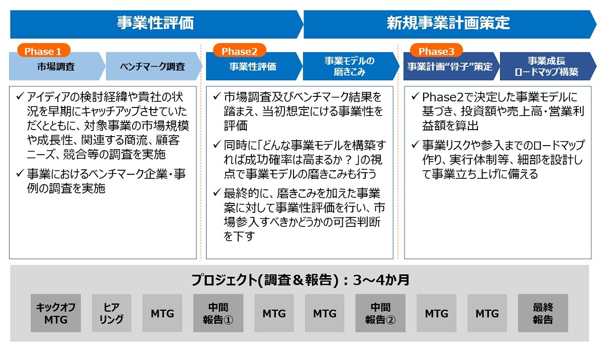 フィージビリティスタディ(新規事業開発検討)のご支援イメージ