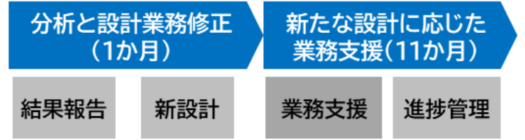 分析と設計業務修正(1か月)、新たな設計に応じた業務支援(11か月)