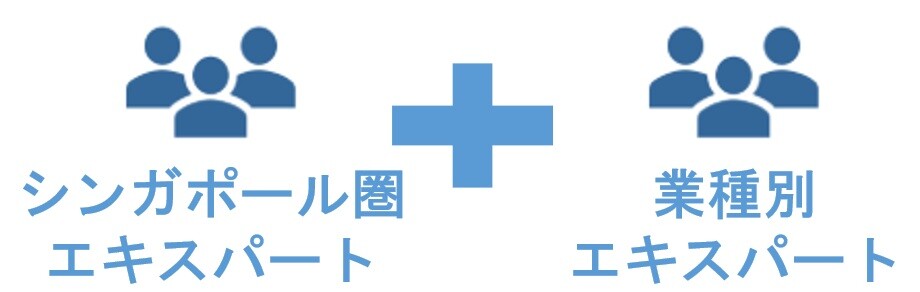 シンガポール圏エキスパート + 業種別エキスパート